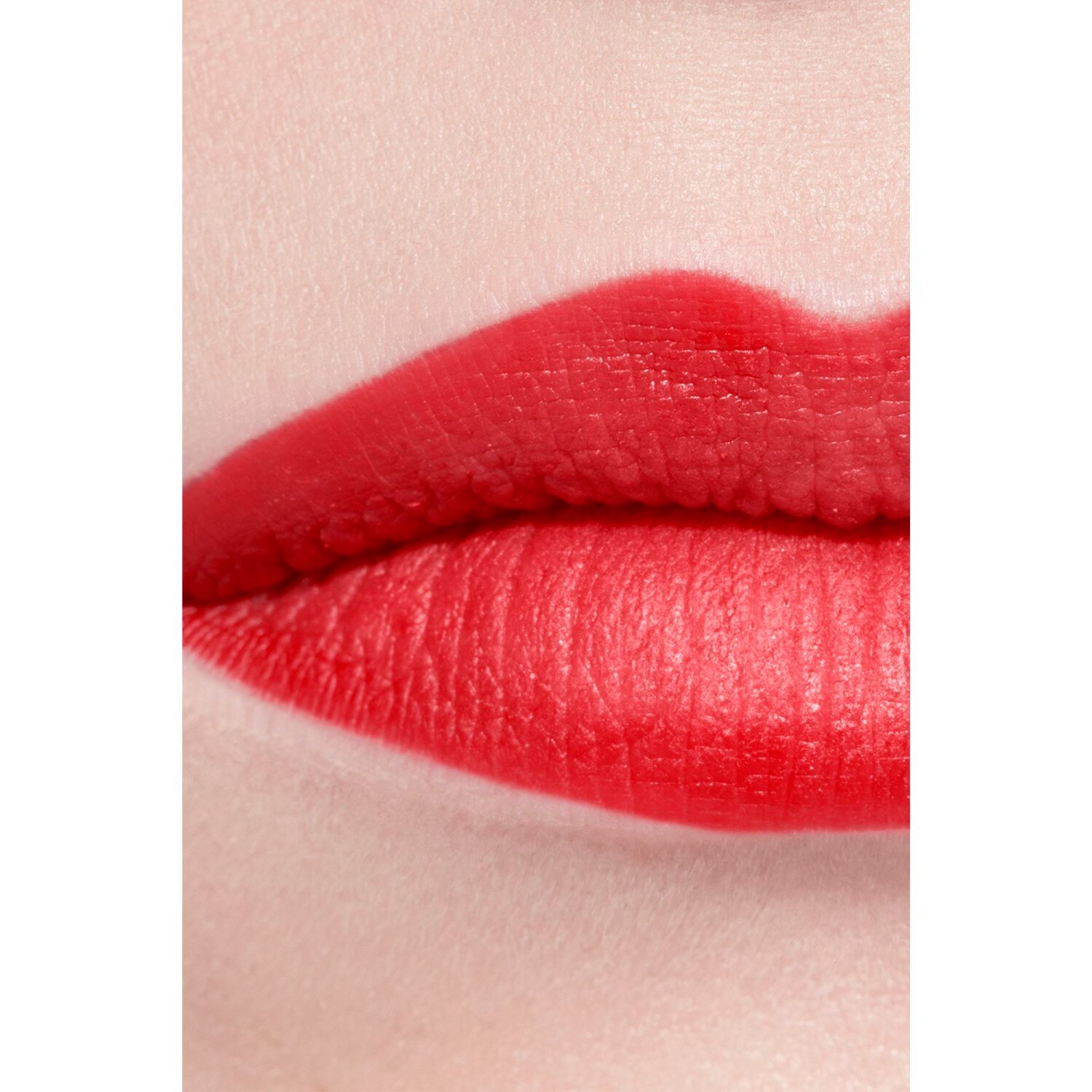 LA BARRA DE LABIOS ATERCIOPELADA LUMINOSA